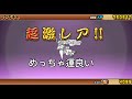 新年早々超極ネコ祭を引いていく！まさかの神引きか！？(録画ソフトの関係上声がバチクソに聞き取りづらいです)