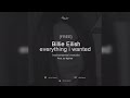 Billie Eilish - everything i wanted (Instrumental remake)