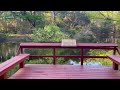 4K Peaceful Nature Garden Walking Tour On Hilton Head | Ambient Bird Sounds & Relaxing Music