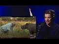 American Reacts to Top 10 David Attenborough Moments!