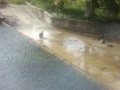 Water gliding in Cuba