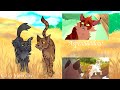 Warrior Cats Completed Friendship MAP- You Get Me