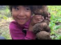 harvesting different types of vegetables in my home garden