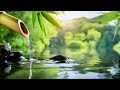 Peaceful Dreams: Medition Music & Water Sounds for Sleep, Spa & Yoga