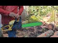ഒരു അടിപൊളി തെങ്ങ് മുറി 🤩| Sky⛅ View Coconut Tree Cutting | Village Woodpecker