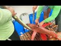 Tuna Season Ep4part12  Kakaibang Nilalang sa Pacific Ocean!!