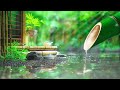 1 Hour Relaxing Sleep Music - Bamboo, Stress Relief, Deep Sleep Music & Therapy Music, Water Sounds