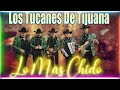 Los Tucanes De Tijuana - Éxitos Más Buscados: Roal Chingonas Mix - Puros Corridos Perrones 2024🤠🤠