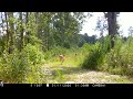 Deer running down road