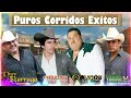 Chuy Lizárraga,Chalino Sanchez,El Coyote y Su Banda Tierra Santa, Valentín Elizalde - Puros Corridos