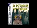 A potoo in New York