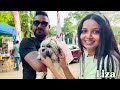 බවුවොන්ගේ විලාසිතා | Dog Fashion Show | International Dog Festival