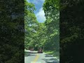 Driving in south Virginia