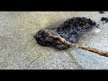(EXPERIMENT) Burning a Toy Train