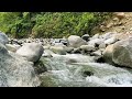 Stream Sounds for Sleeping - No Birds - Relaxing Nature Video