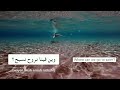 Beach Vocabulary In Arabic | Levantine Arabic for Beginners