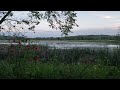 10-minute Meditation in Nature: Relax at lake with wild flowers, bird, frogs, beautiful clouds.