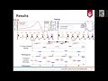 Role of Each Leg in Generating Linear and Angular Impulse in Baseball Pitching