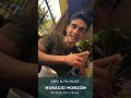 Horacio Monzón-Creador de Vibra alto cacao en Ocio Mood-Revista digital