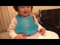 【イヤイヤ期】子供がごはんを拒否して食べない時の対処法