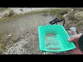 Gehen wir spielen - Let´s play panning for gold