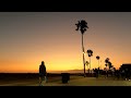 Evening Cruise to the Brobots Concert via Venice Beach Boardwalk