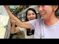 Vlog 2518 ll ĂN BỌ BIỂN 2.3kg - BẤT NGỜ BÁNH KEM SINH NHẬT CHO DÌ - CÁ TAI TƯỢNG CUỐN BÁNH TRÁNG