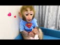 Baby Monkey BonBon Eat Chocolate Eggs With Puppy In The Garden - BonBon Farm