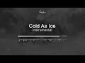 Cold As Ice — Instrumental