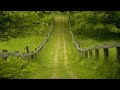 【自然の音散歩】野鳥のさえずる小道 / Nature Sounds - A Path of Bird Songs