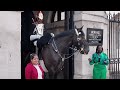 Shocking!!! Silly Idiots Ignored the signs and Messed the king’s guard horse, this happened!!!