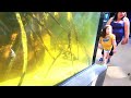 The Florida Aquarium Tampa Ultimate Full Tour 2024