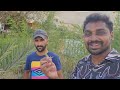 Nomad Daily Life In Desert 🏜 | Farming In Israel 🇮🇱 | Uma Telugu Traveller