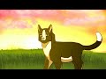 cat animation test