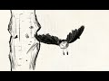 Flying Bird Handdrawn animation