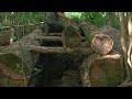 The most secret survival shelter. Warm and cozy Bushcraft dugout