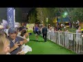 atp 500 - dubai duty free tennis championships 2023, dubai tennis stadium | 4K