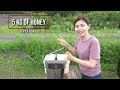 Squeezing remaining honey in combs.  Apis cerana japonica