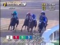 Zenyatta Greatest Race Horse Of All Time! Montage - All 19 Wins