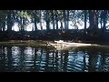 Rowing Bellingen 5