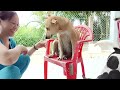 Cá Nhà Xem Hết Video Mới Thấy Bé Mi Ngoan,Nha Cả Nhà IU 💝💝🤣