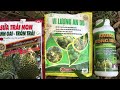 Sửa trái sầu riêng monthong/Fix monthong durian fruit/Thanh Thi Vlog