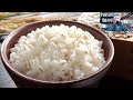 The Truth About Rice: Is It Really Bad for You?