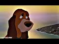 The Fox And The Hound: No Easy Way Out