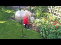 Little Isaac Newton in grandma's garden