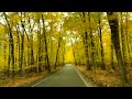 WORLD FAMOUS Tunnel Of Trees in Harbor Springs, Michigan | Scenic Fall Drive with Car & Rain Sounds