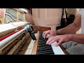 Nils Frahm - My Friend The Forest (Piano Cover)