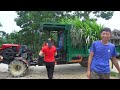 Harvesting a Truckload Of Grass To Sell To Villagers For Livestock - Daily Farm