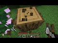 Getting Started On A Brand New SMP! -RADPAD SMP Ep.1-