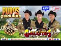 Los Gallitos De Chihuahua Mix - Musica Exitos 2024 - (Pascua de la Resurrección del Señor)